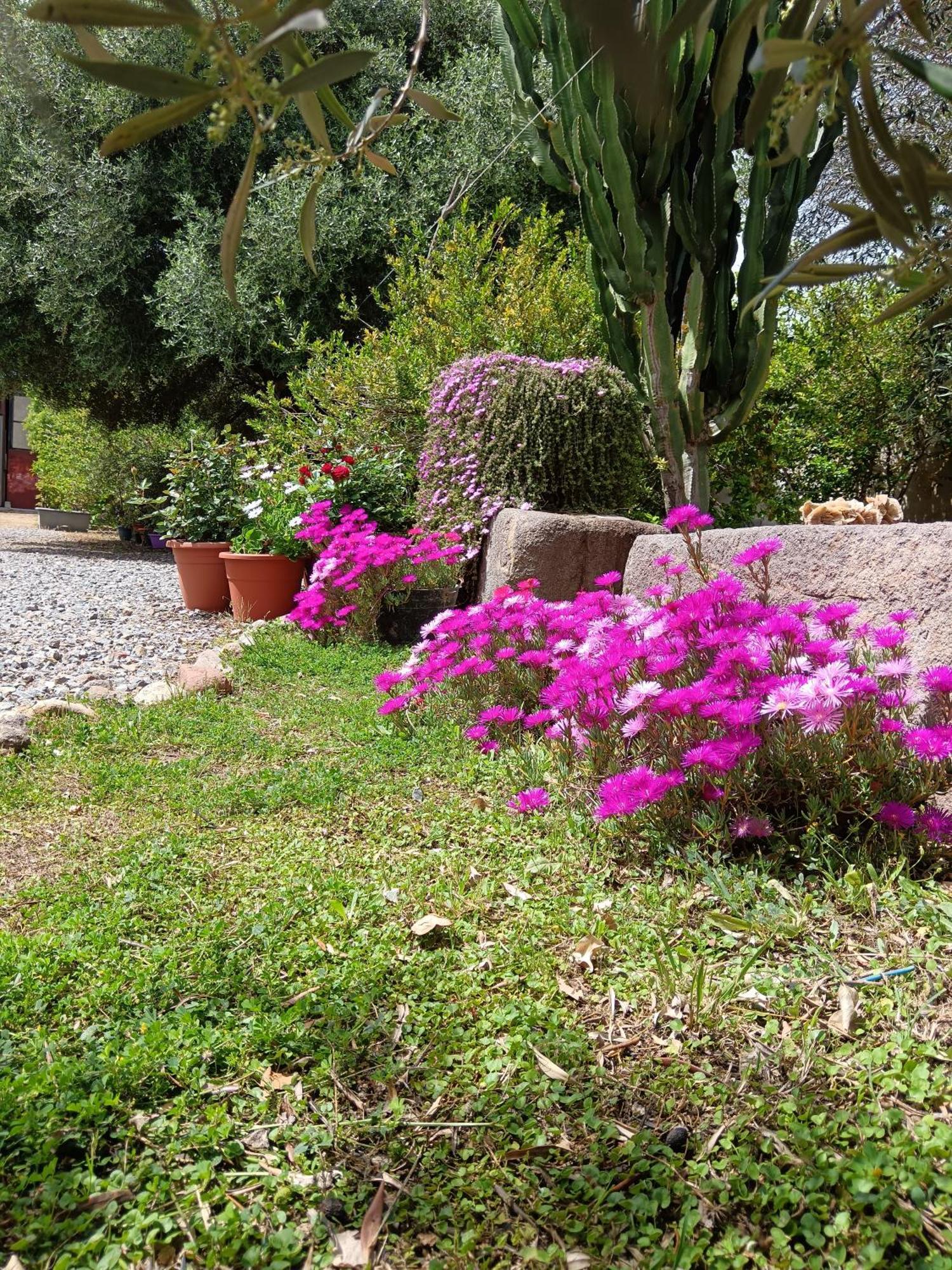 Sulcis Camere San Giovanni Suèrgiu Exterior foto